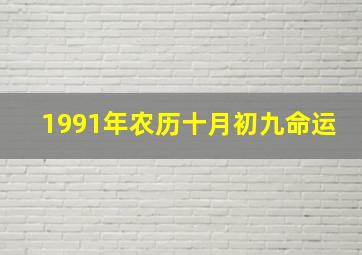 1991年农历十月初九命运