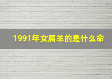 1991年女属羊的是什么命