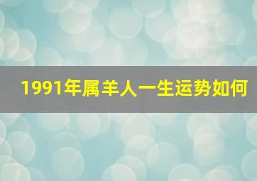 1991年属羊人一生运势如何