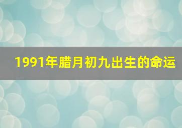 1991年腊月初九出生的命运