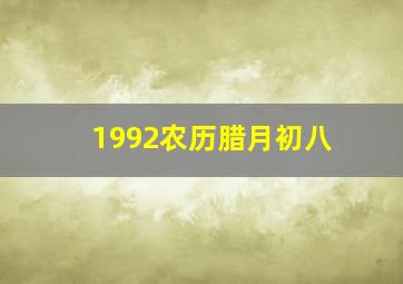 1992农历腊月初八