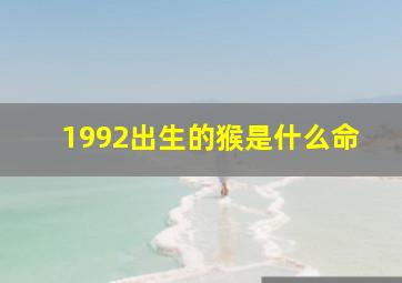 1992出生的猴是什么命