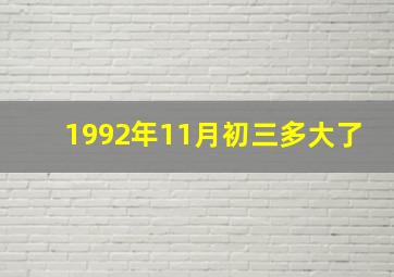 1992年11月初三多大了