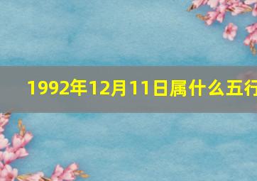 1992年12月11日属什么五行