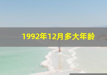 1992年12月多大年龄