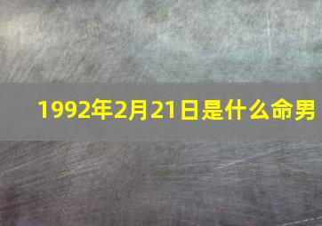 1992年2月21日是什么命男