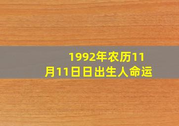 1992年农历11月11日日出生人命运