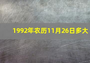 1992年农历11月26日多大