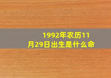 1992年农历11月29日出生是什么命