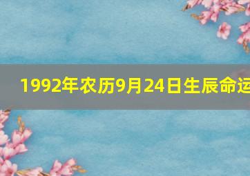 1992年农历9月24日生辰命运