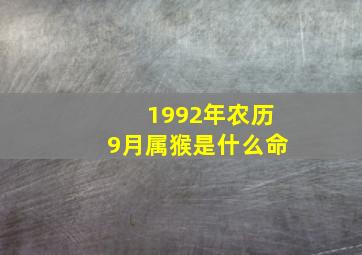 1992年农历9月属猴是什么命