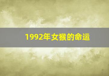 1992年女猴的命运