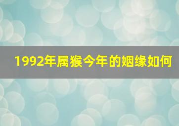 1992年属猴今年的姻缘如何