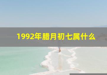 1992年腊月初七属什么