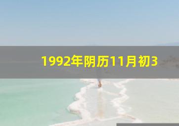 1992年阴历11月初3