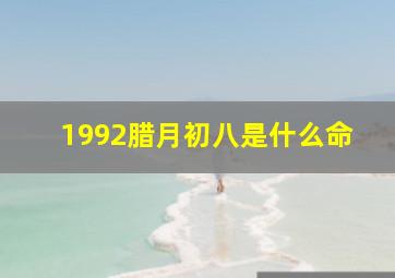 1992腊月初八是什么命