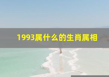 1993属什么的生肖属相