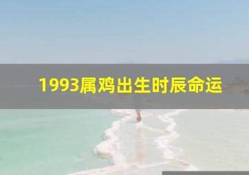 1993属鸡出生时辰命运