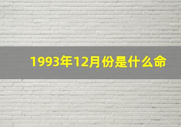 1993年12月份是什么命