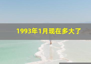 1993年1月现在多大了