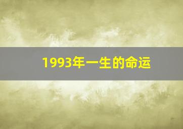 1993年一生的命运