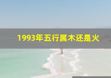 1993年五行属木还是火