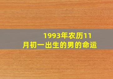 1993年农历11月初一出生的男的命运