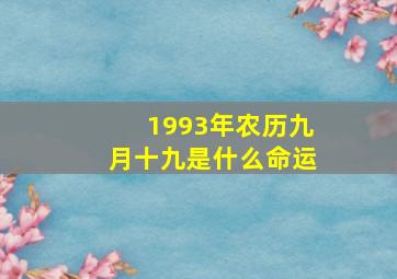 1993年农历九月十九是什么命运