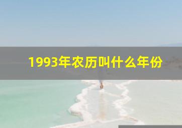 1993年农历叫什么年份