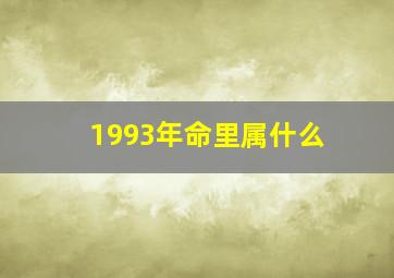 1993年命里属什么