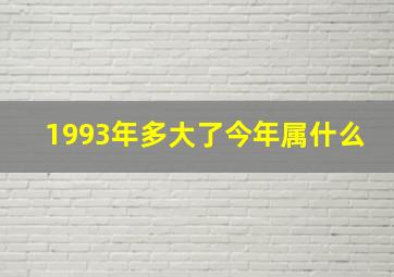 1993年多大了今年属什么