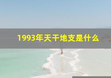 1993年天干地支是什么