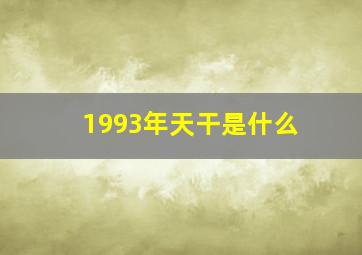 1993年天干是什么