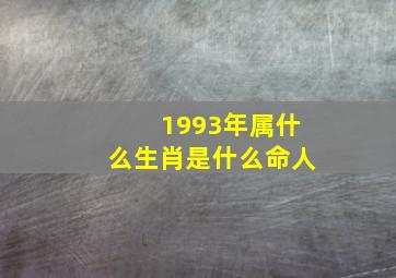 1993年属什么生肖是什么命人