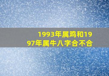 1993年属鸡和1997年属牛八字合不合