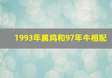 1993年属鸡和97年牛相配