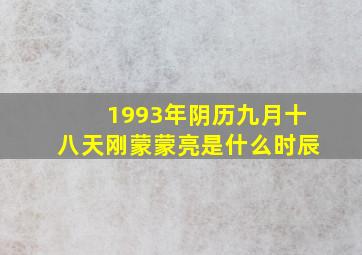 1993年阴历九月十八天刚蒙蒙亮是什么时辰