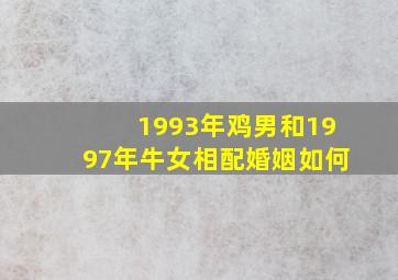 1993年鸡男和1997年牛女相配婚姻如何