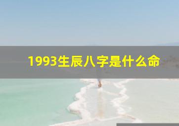 1993生辰八字是什么命