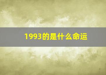 1993的是什么命运