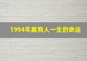 1994年属狗人一生的命运