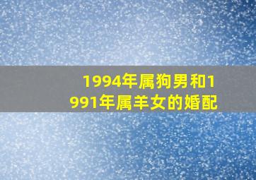 1994年属狗男和1991年属羊女的婚配