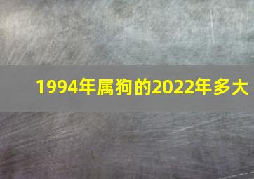 1994年属狗的2022年多大