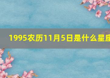 1995农历11月5日是什么星座