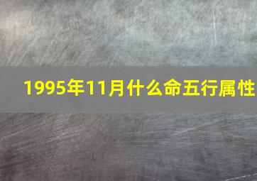 1995年11月什么命五行属性