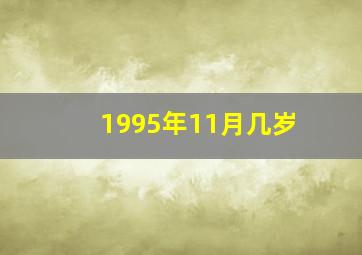 1995年11月几岁