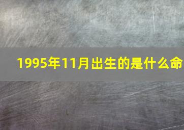 1995年11月出生的是什么命