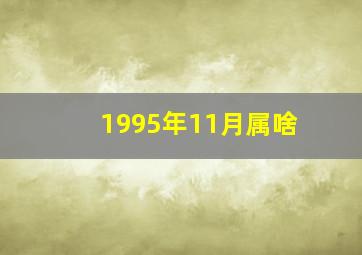 1995年11月属啥