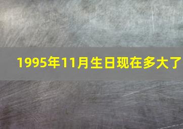 1995年11月生日现在多大了