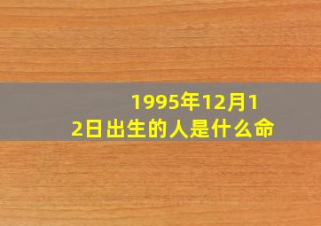 1995年12月12日出生的人是什么命